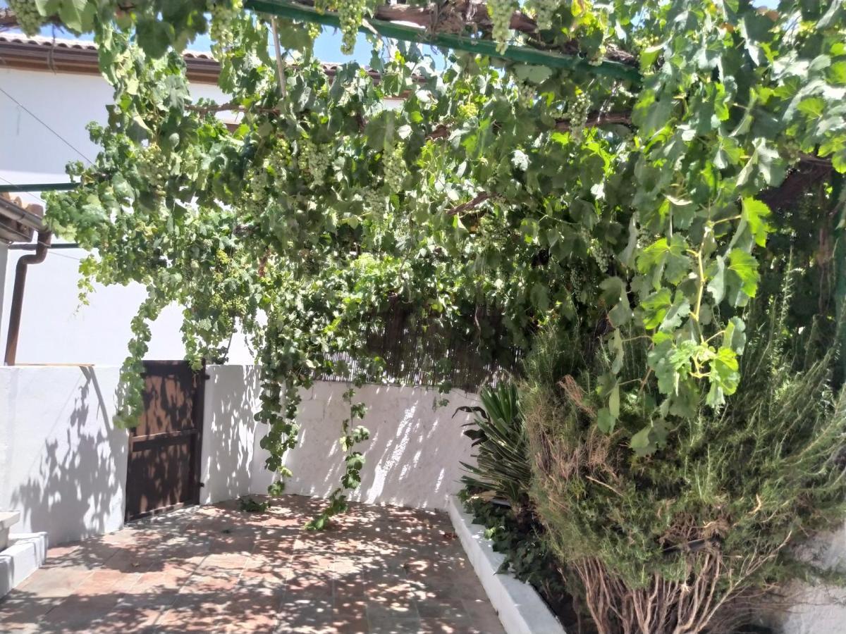 La Casa Del Ingles Villa Montefrío Exterior foto